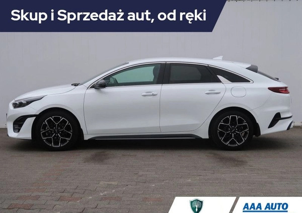 Kia Pro_cee'd cena 123001 przebieg: 12482, rok produkcji 2023 z Ostróda małe 191